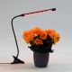 Lámpara LED regulable con clip para iluminar plantas LED/3W/230V negro