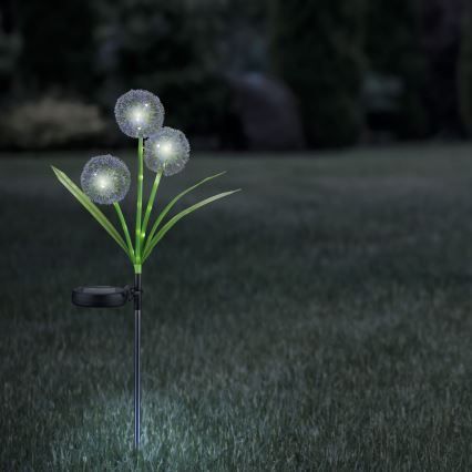 Lámpara solar LED ALLIUM LED/1,2V 6500K 600 mAh IP44 negro