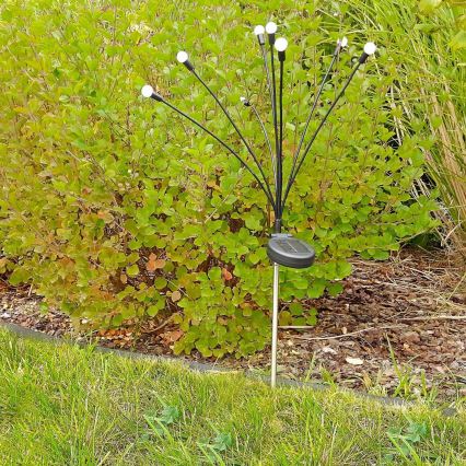 Lámpara solar LED FIORINI 8xLED/1,2V 600mAh IP44 negro