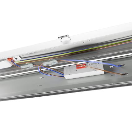 Lámpara técnica LED fluorescente LIMEA GIGANT PRO LED/20/26/33/40W/230V 4000K IK10 IP66 120 cm