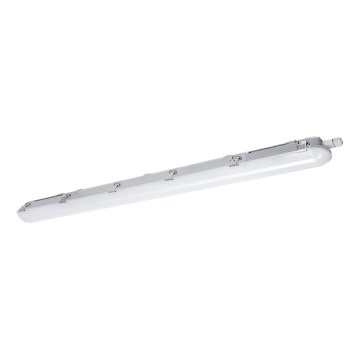 Lámpara técnica LED fluorescente NEXFORCE LED/36W/230V 4000K IP66