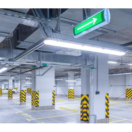 Lámpara técnica LED fluorescente NEXFORCE LED/36W/230V 4000K IP66