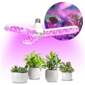 LED Bombilla para cultivo de plantas PLANTY E27/24W/230V 1200K