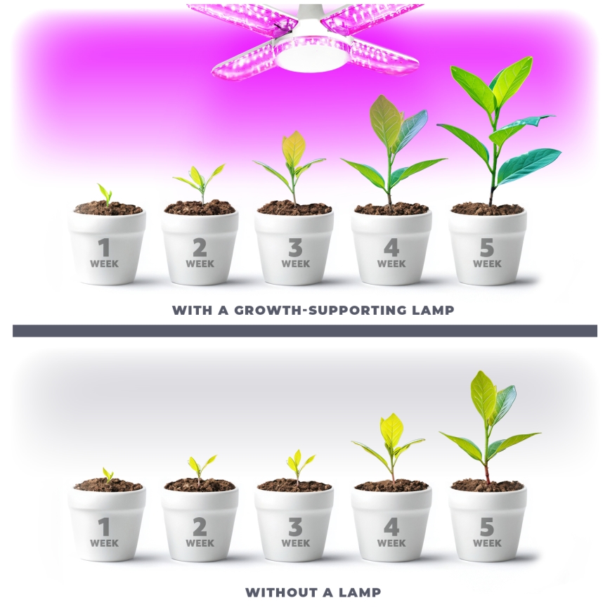 LED Bombilla para cultivo de plantas VITABLOOM E27/40W/230V 1200K - Brilagi