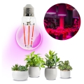 LED Bombilla para cultivo de plantas VITABLOOM E27/8W/230V 1200K - Brilagi