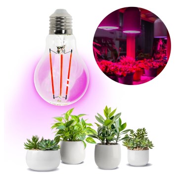 LED Bombilla para cultivo de plantas VITABLOOM E27/8W/230V 1200K - Brilagi
