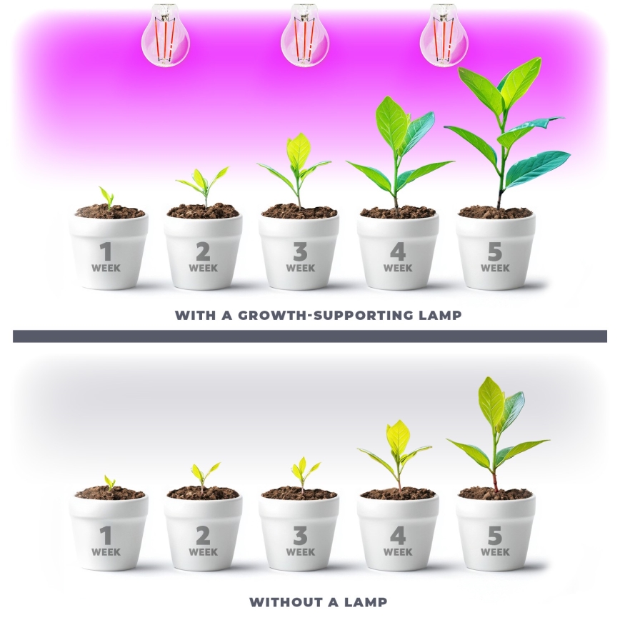 LED Bombilla para cultivo de plantas VITABLOOM E27/8W/230V 1200K - Brilagi