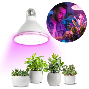 LED Bombilla para cultivo de plantas VITABLOOM E27/9W/230V 1200K blanco - Brilagi