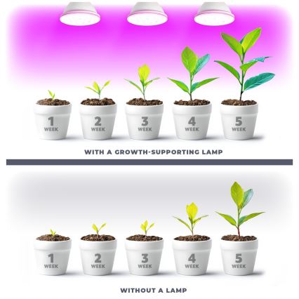 LED Bombilla para cultivo de plantas VITABLOOM E27/9W/230V 1200K blanco - Brilagi