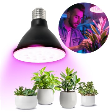 LED Bombilla para cultivo de plantas VITABLOOM E27/9W/230V 1200K negro - Brilagi