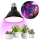 LED Bombilla para cultivo de plantas VITABLOOM E27/9W/230V 1200K negro - Brilagi