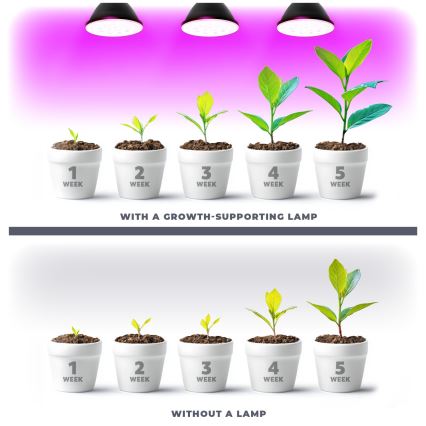 LED Bombilla para cultivo de plantas VITABLOOM E27/9W/230V 1200K negro - Brilagi