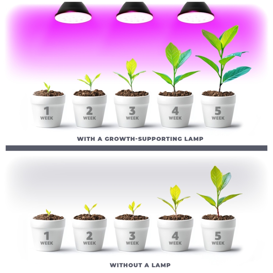 LED Bombilla para cultivo de plantas VITABLOOM E27/9W/230V 1200K negro - Brilagi