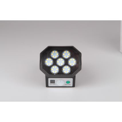 LED Cámara de video vigilancia falsa con sensor y con panel sol. LED/5W/5,5V 800 mAh IP65 + control remoto