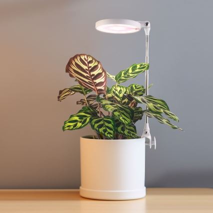 LED Lámpara de interior para el cultivo de plantas LED/10W/5V 3200K