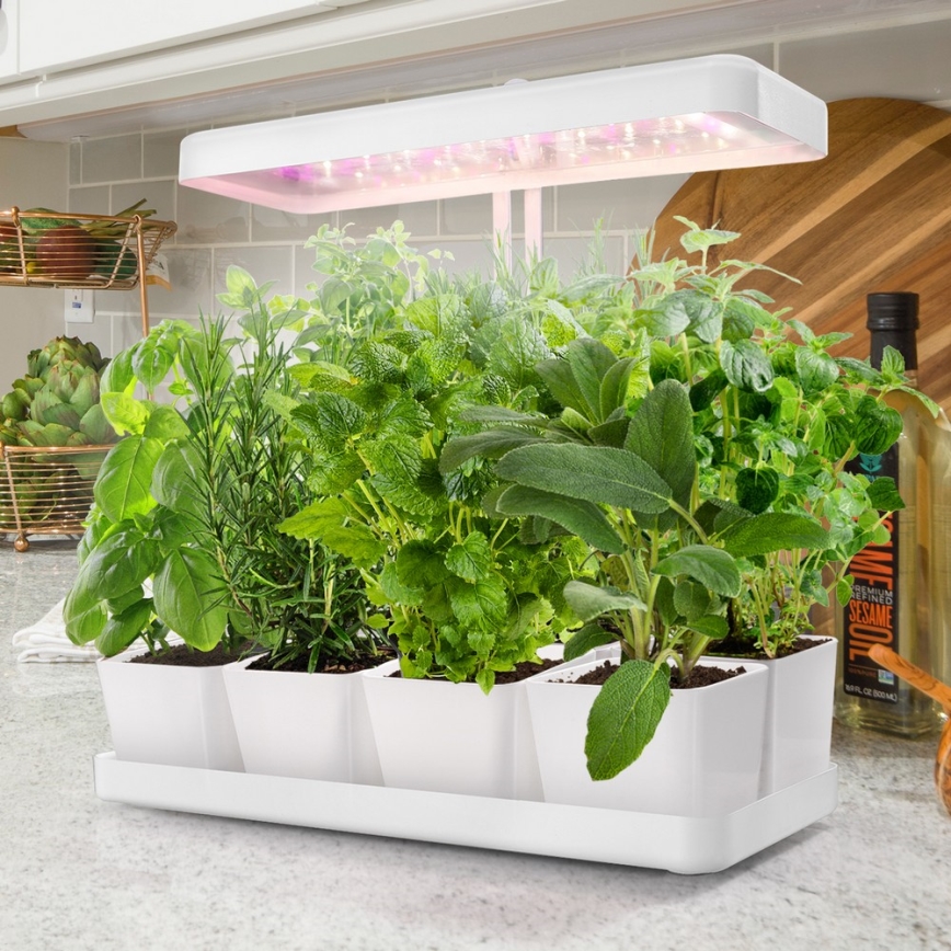 LED Lámpara de interior para el cultivo de plantas LED/20W/5V 3500K