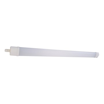 LED Lámpara fluorescente DAISY LED/40W/230V 4000K IP65