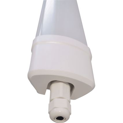 LED Lámpara fluorescente DAISY LED/80W/230V 4000K IP65