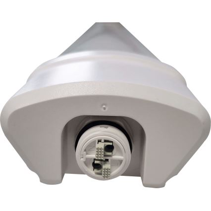 LED Lámpara fluorescente DAISY LED/80W/230V 4000K IP65