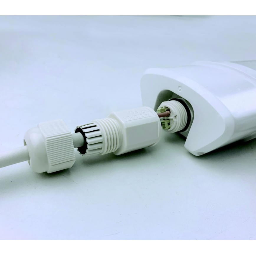 LED Lámpara fluorescente DAISY LED/80W/230V 4000K IP65