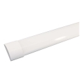 LED Lámpara fluorescente SAMSUNG CHIP LED/40W/230V 3000K 120 cm