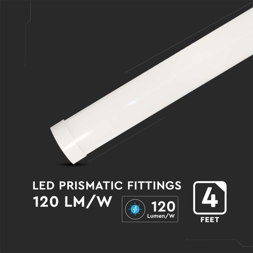 LED Lámpara fluorescente SAMSUNG CHIP LED/40W/230V 4000K 120 cm