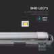 LED Lámpara fluorescente técnica T8 2xG13/10W/230V 4000K 60cm IP65