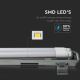 LED Lámpara fluorescente técnica T8 2xG13/10W/230V 6400K 60cm IP65