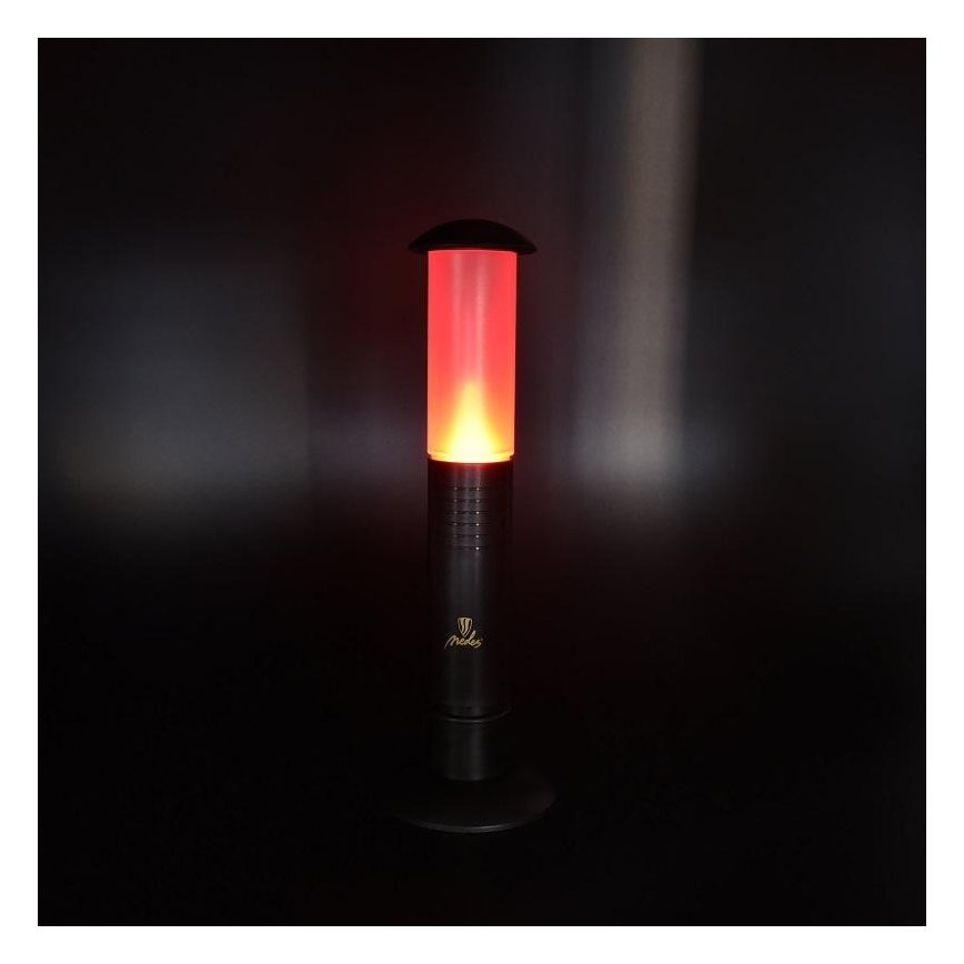 LED Lámpara portátil 2xLED/1xD IPX4