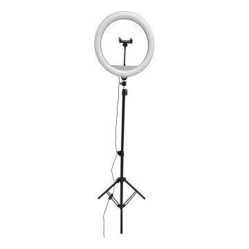 LED Lámpara regulable con trípode y soporte para vlogging LED/15W/5V 2700-6500K