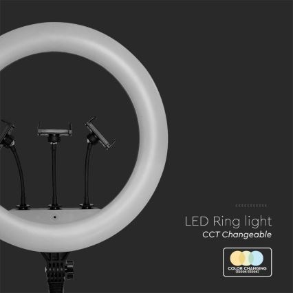 LED Lámpara regulable con un soporte y soporte para vlogging LED/55W/230V CRI 90 + control remoto