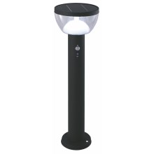 LED Lámpara solar exterior con sensor LARIX LED/3W/3,7V IP44