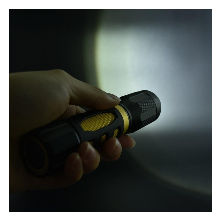 LED Linterna LED/5W/3xAAA