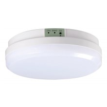 LED Luz de emergencia GLORION LED/15W/230V IP65