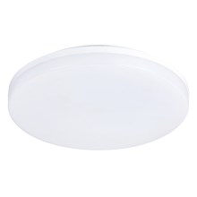 LED Plafón del baño LED/24W/230V IP54
