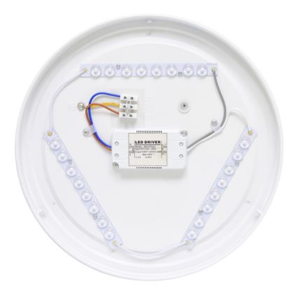 LED Plafón exterior NELA LED/32W/230V IP44