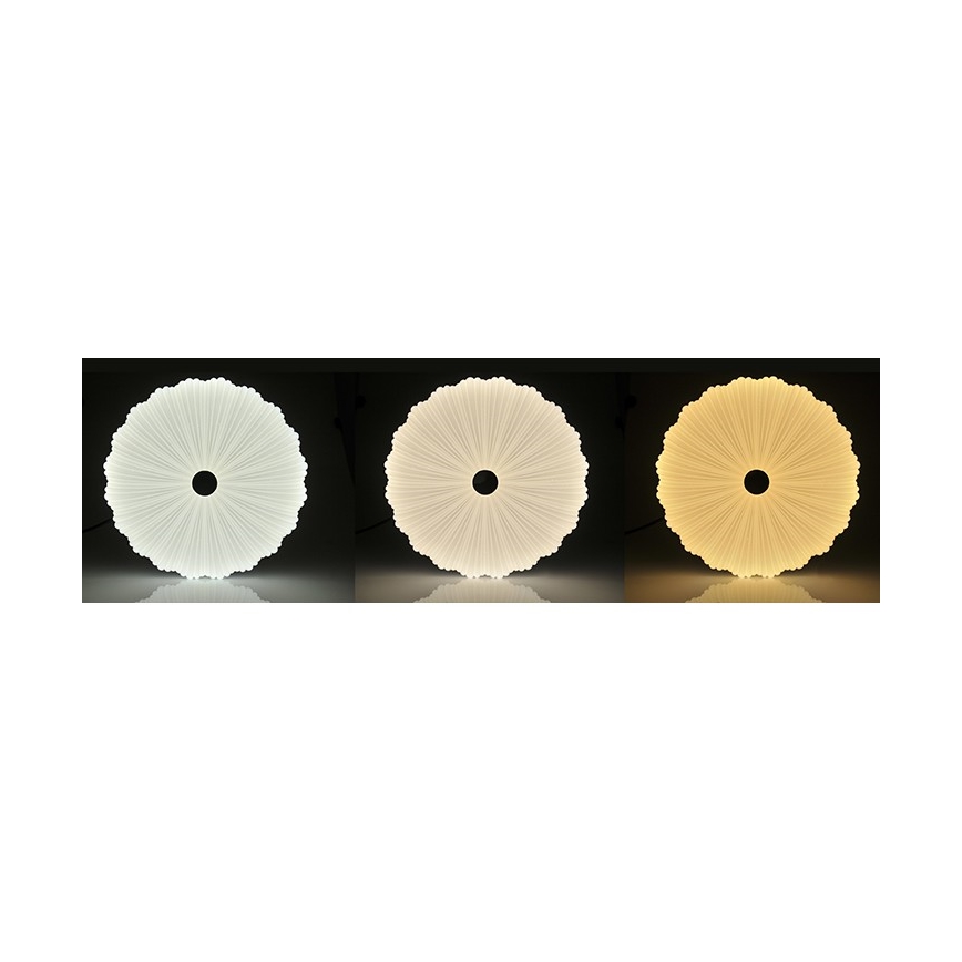 LED Plafón regulable FLOWER LED/36W/230V + control remoto