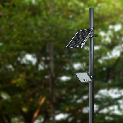 LED Proyector solar regulable con sensor LED/10W/3,7V 4000/6000K IP65 + control remoto