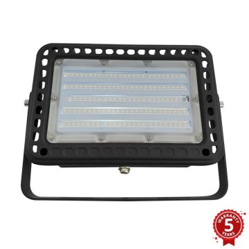 LED Reflector exterior PROFI LED/100W/180-305V IP65