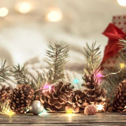 LED RGB Cadena de Navidad LED/10W/5V 10 m USB + control remoto
