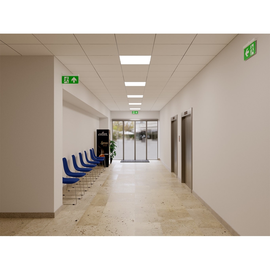 LED2 - Lámpara de emergencia LED SAFE ALL/2W/3,6V 6000K IP40
