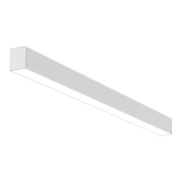 LED2 - Plafón LED regulable NOLI LED/40W/230V 3000K/3500K/4000K blanco