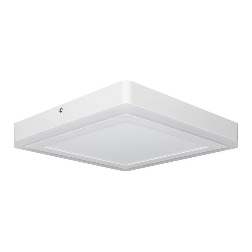 Ledvance - Lámpara de techo LED SQUARE LED/18W/230V