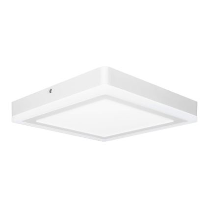 Ledvance - Lámpara de techo LED SQUARE LED/18W/230V