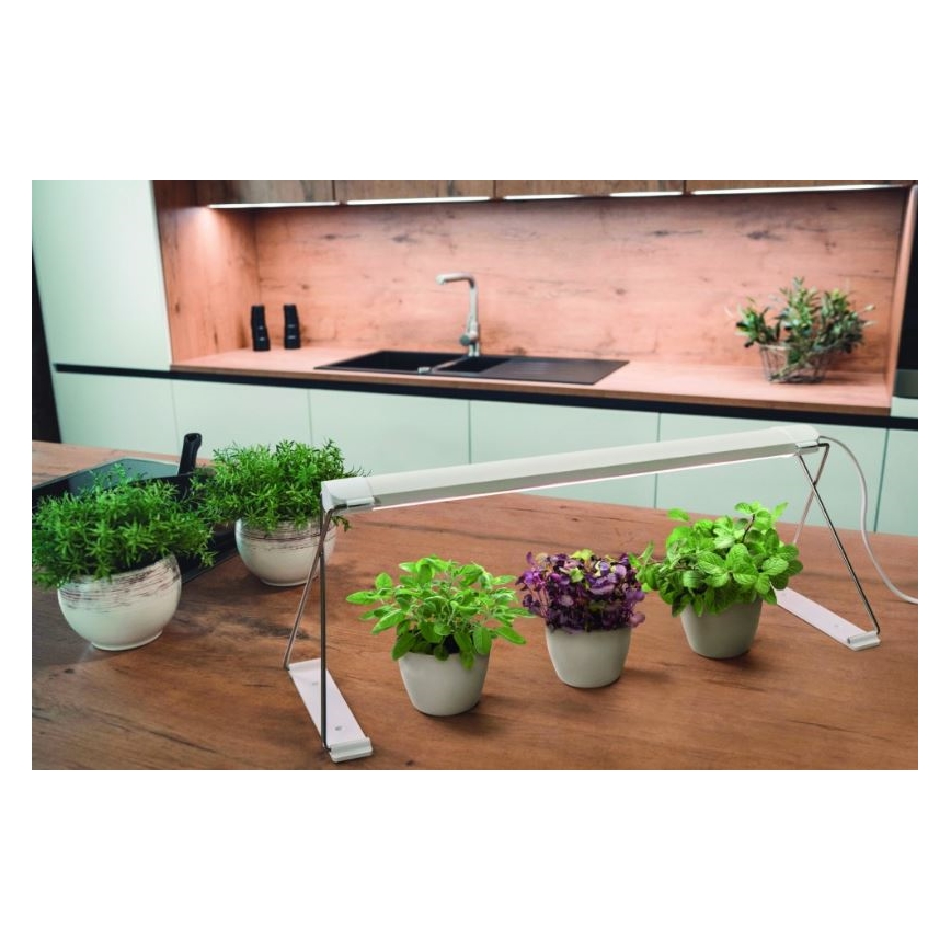 Ledvance - Lámpara interior LED GARDEN LIGHT LED/14W/230V