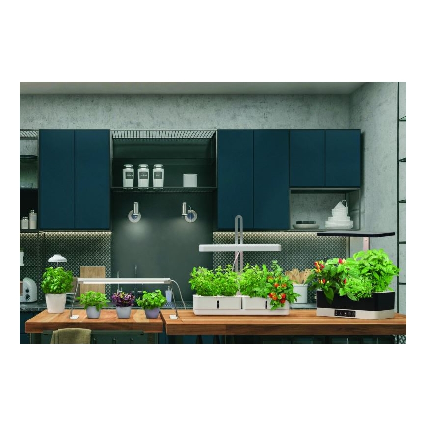 Ledvance - Lámpara interior LED GARDEN LIGHT LED/14W/230V