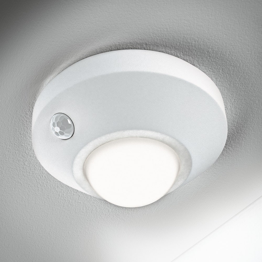 Ledvance - Lámpara LED de orientación con sensor NIGHTLUX LED/1,7W/3xAA 4000K