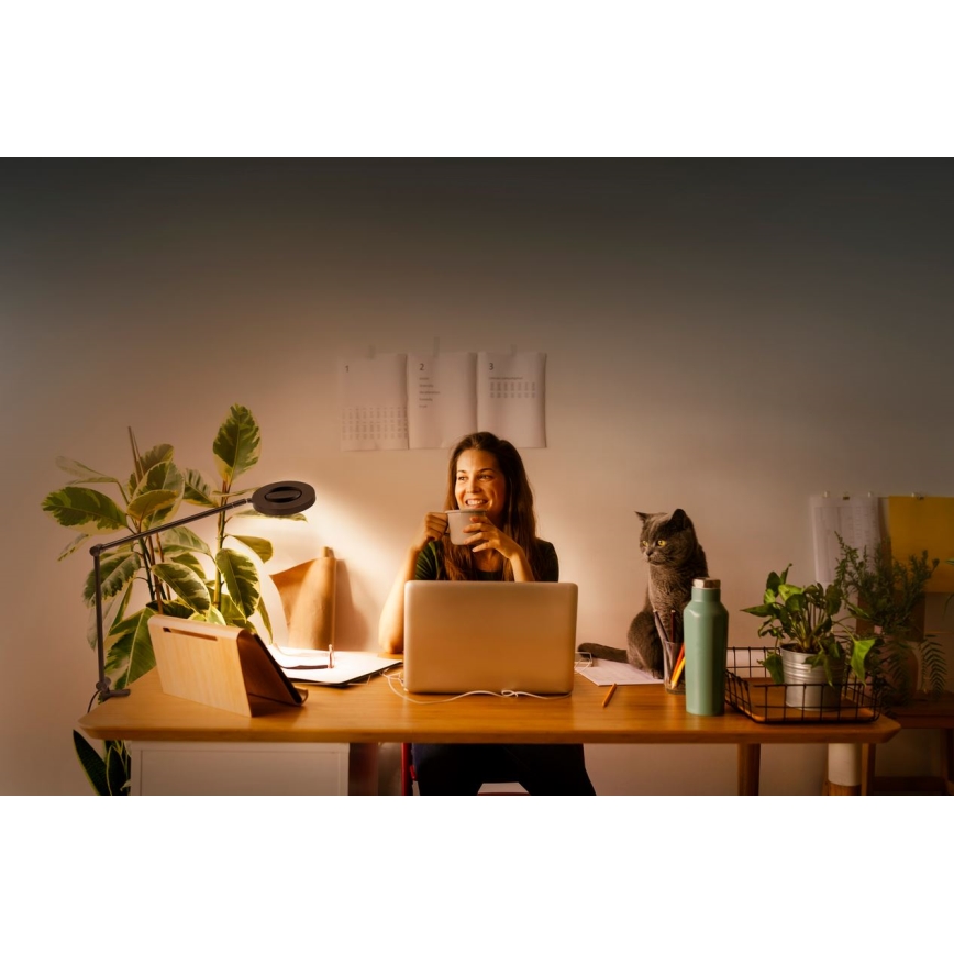 Ledvance - Lámpara LED regulable con clip SUN@HOME LED/15W/230V 2200-5000K CRI 95 Wi-Fi