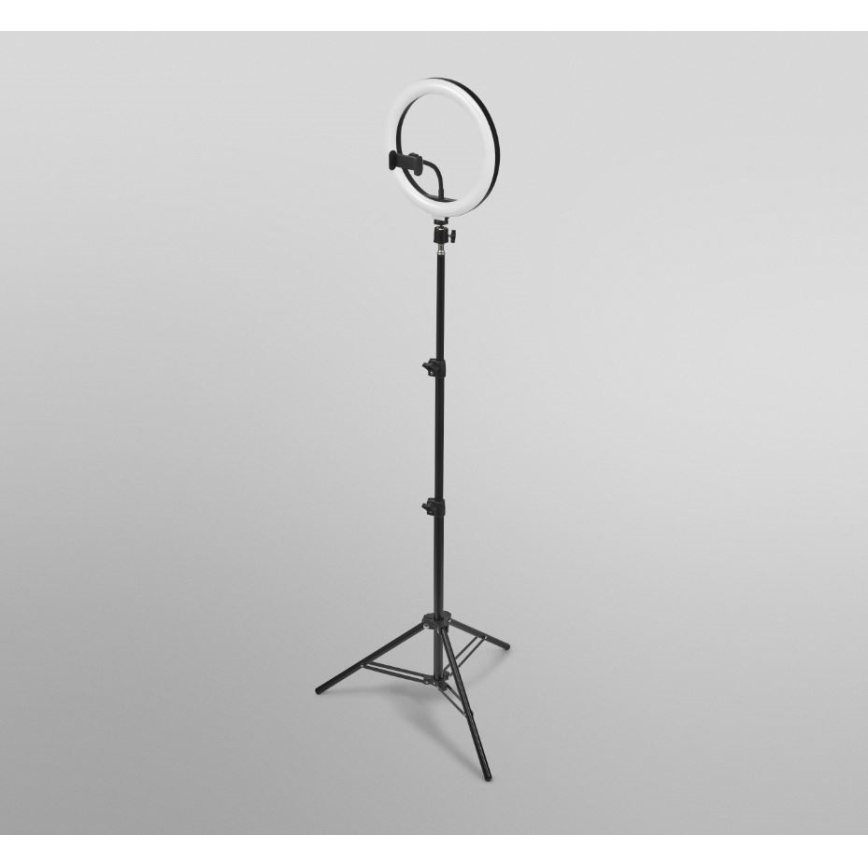 Ledvance - Lámpara de pie LED regulable con un soporte y soporte para vlogging LED/6W/USB 3000/4000/6500K