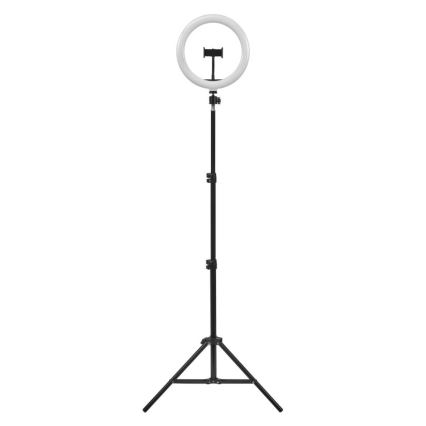 Ledvance - Lámpara de pie LED regulable con un soporte y soporte para vlogging LED/6W/USB 3000/4000/6500K